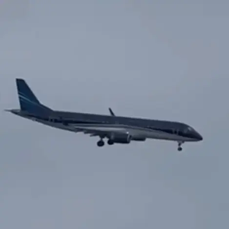 konnte trotz Treffer Flug fortsetzen